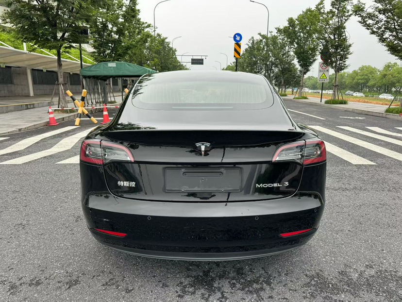 Tesla Model 3 2020 #3 Tesla Model 3 2020 car image #3