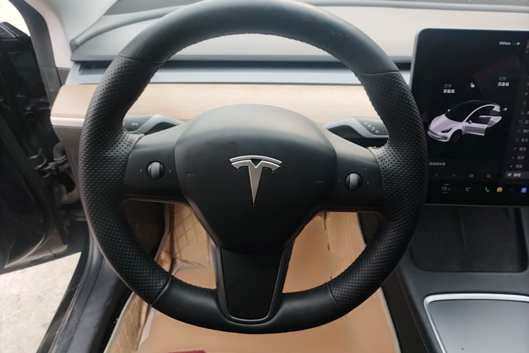 Tesla Model 3 2021 #15 Tesla Model 3 2021 car image #15