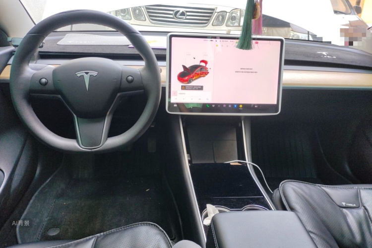 Tesla Model 3 2020 car image #11