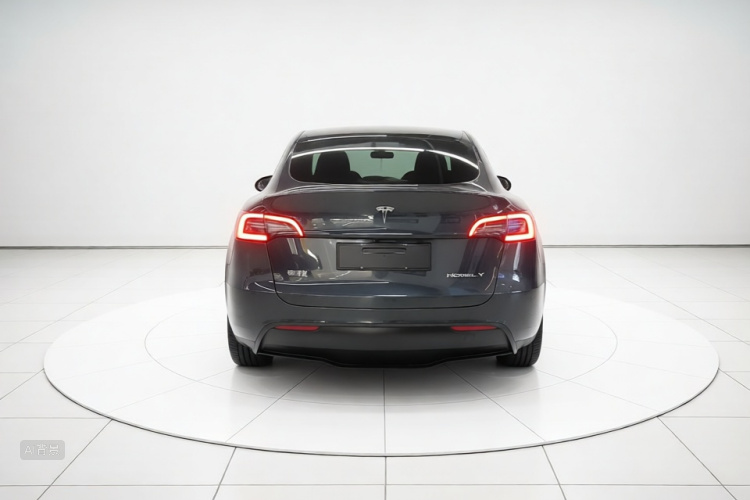 Tesla Model Y 2024 car image #6