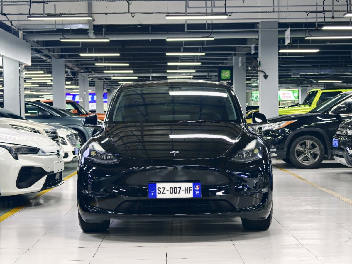 Tesla Model Y 2021 car image #2