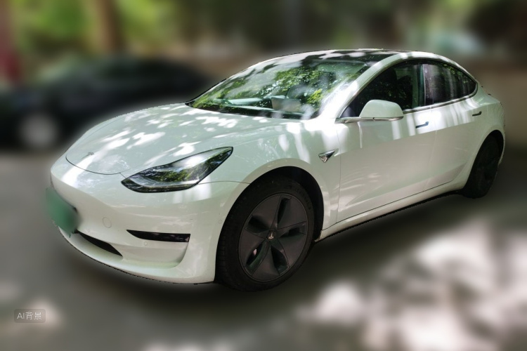 Tesla Model 3 2020 immagine di auto #2