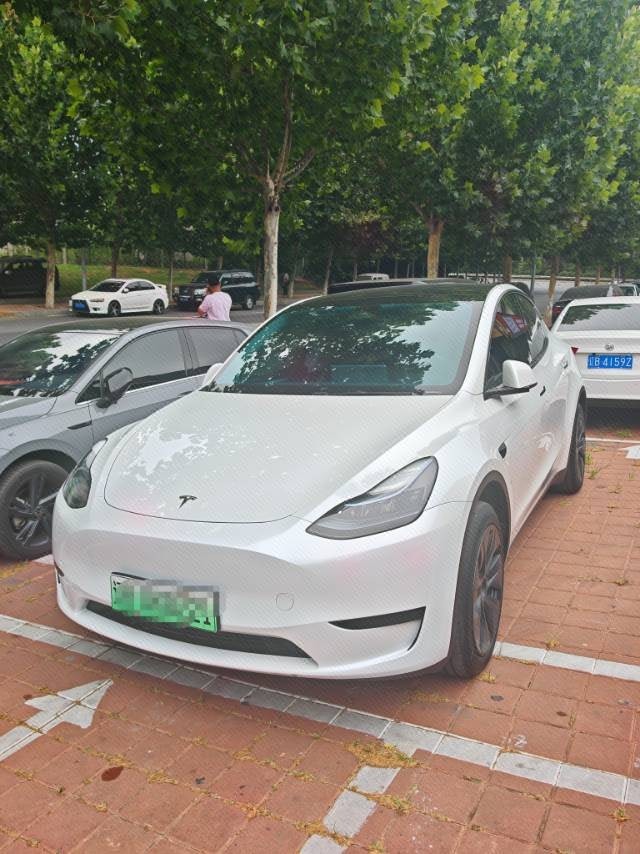 Tesla Model Y 2024 car image 