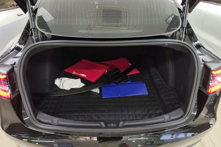 Tesla Model 3 2020 car image #19