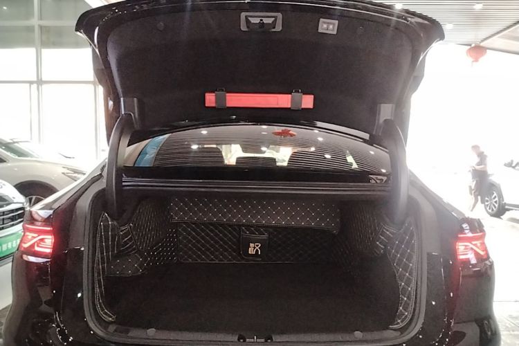BYD Han 2022 car image #19