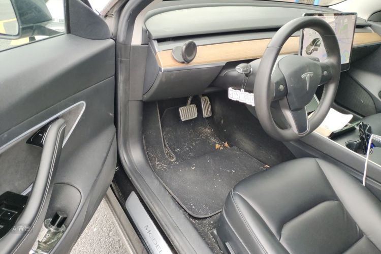 Tesla Model 3 2020 car image #18