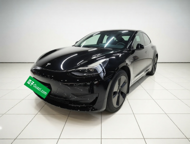 Tesla Model 3 2023 Tesla Model 3 2023 car image