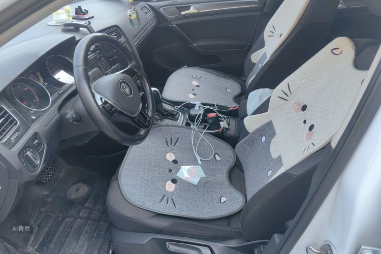 Volkswagen Golf 2017 car image #17