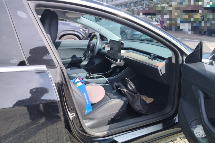 Tesla Model 3 2020 car image #21