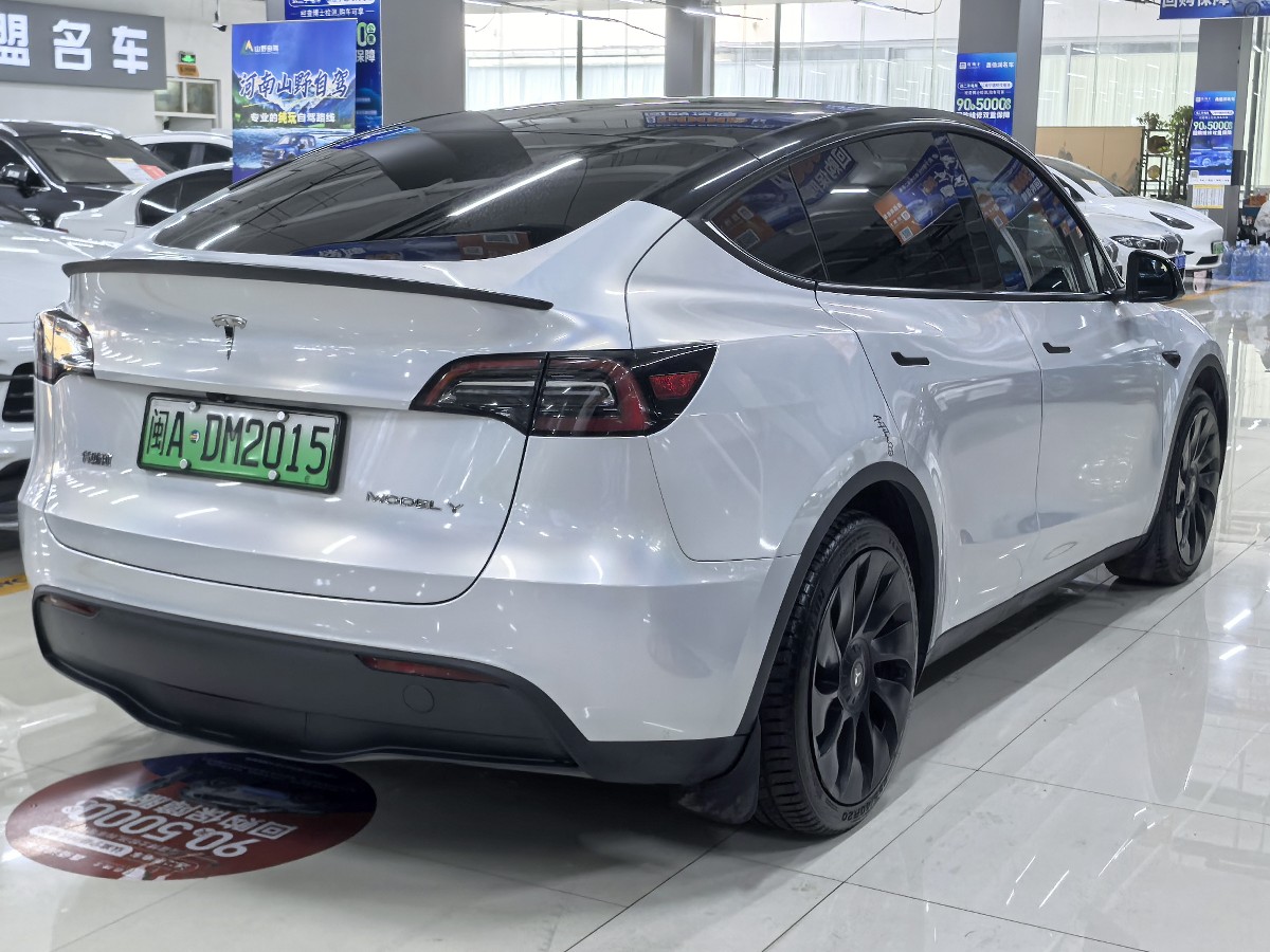 Tesla Model Y 2024 car image #10