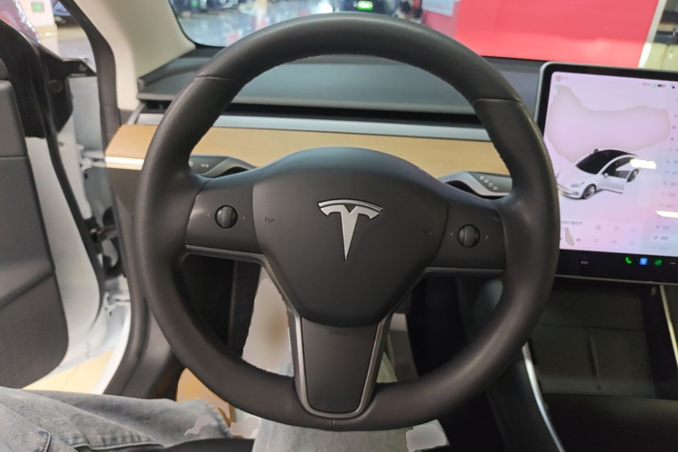 Tesla Model 3 2020 #11 Tesla Model 3 2020 car image #11