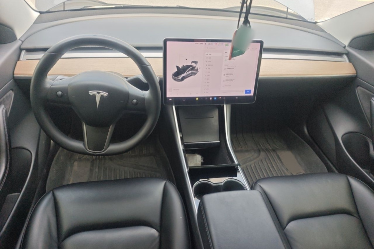 Tesla Model 3 2020 car image #12
