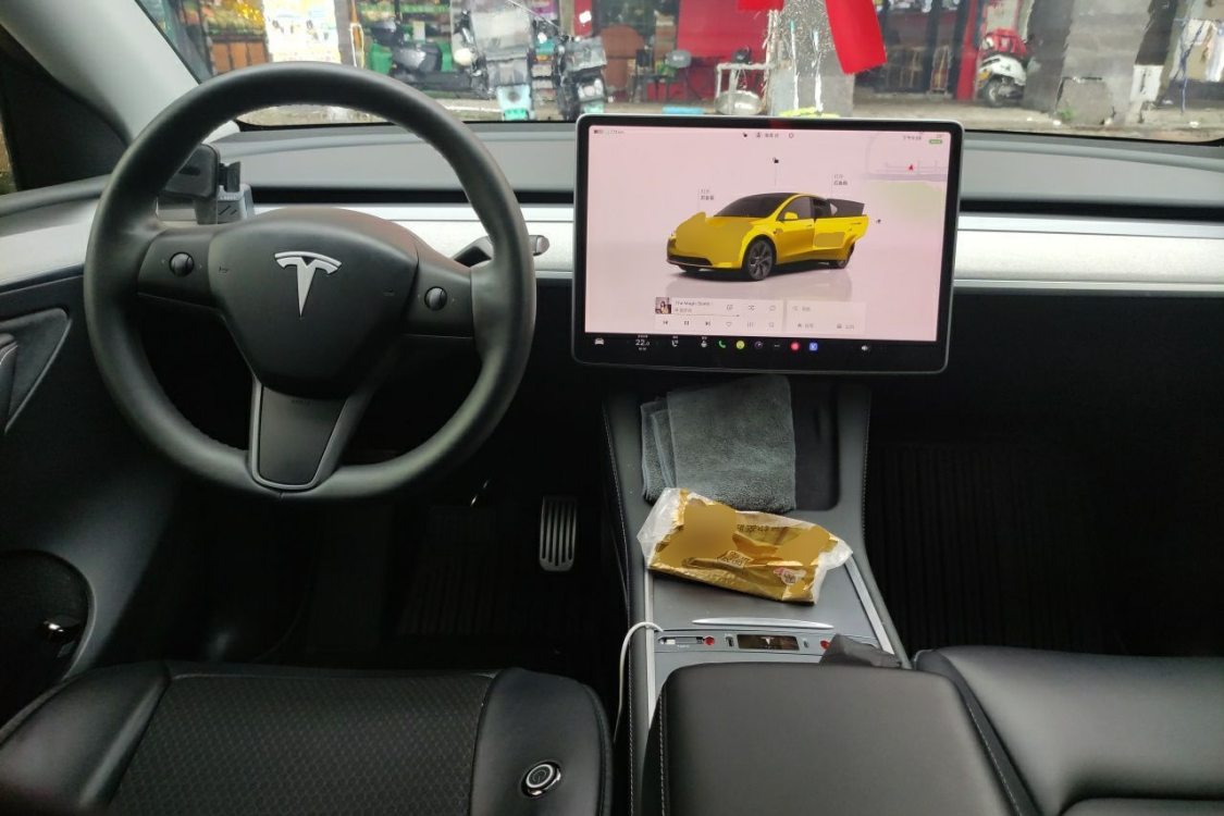 Tesla Model Y 2024 صورة سيارة #21