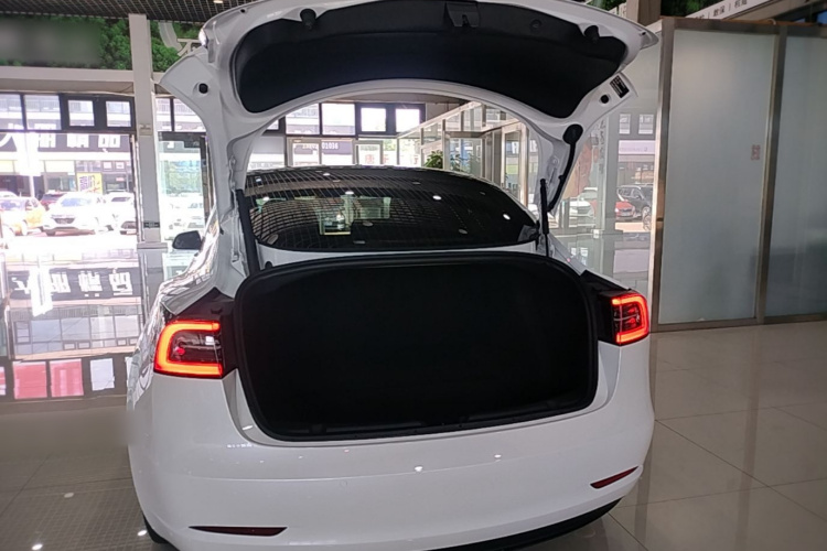 Tesla Model 3 2023 #19 Tesla Model 3 2023 immagine di auto #19
