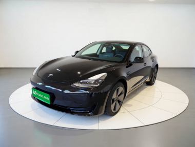 Tesla Model 3 2023 car image 