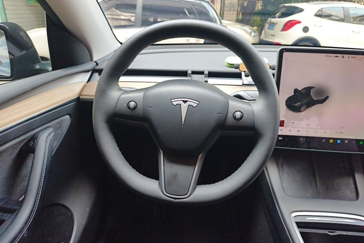Tesla Model Y 2023 #11 Tesla Model Y 2023 car image #11