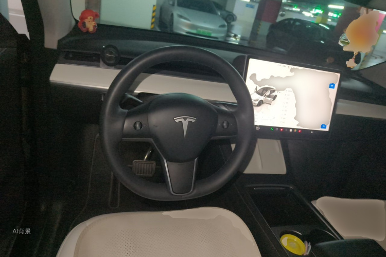 Tesla Model Y 2023 car image #12