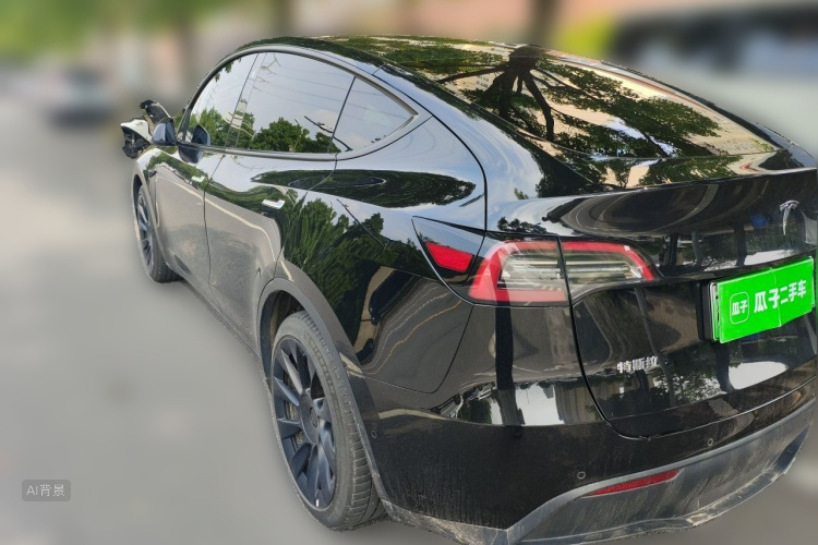 Tesla Model Y 2021 car image #5