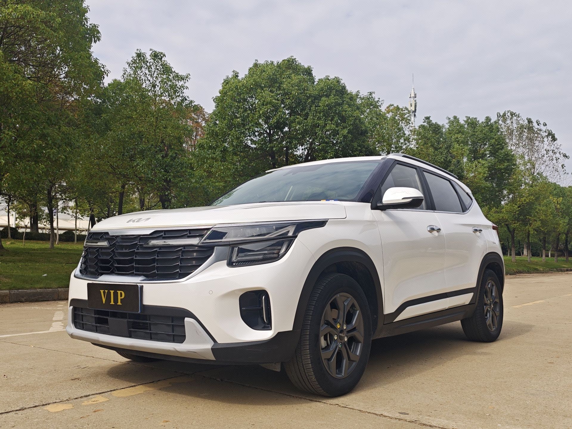 Kia Seltos 2023 immagine di auto 