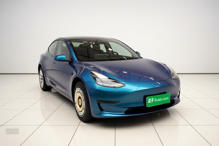 Tesla Model 3 2020 immagine di auto #4
