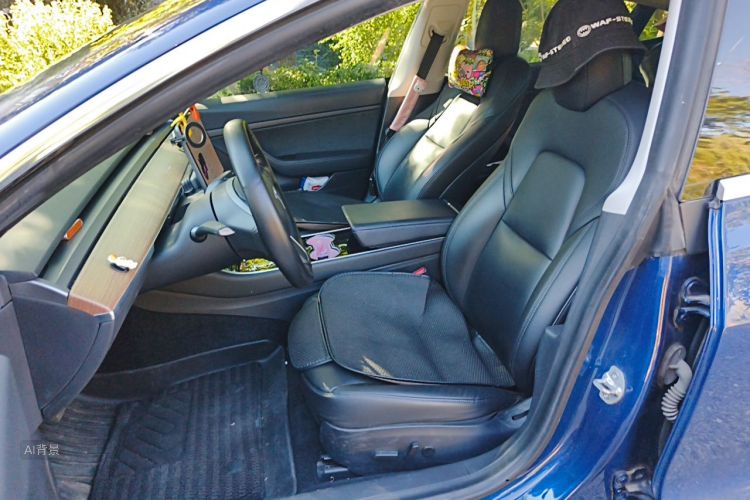 Tesla Model 3 2020 #17 Tesla Model 3 2020 car image #17