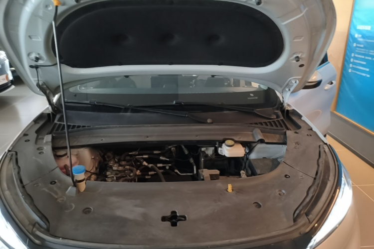 BYD Yuan Plus 2023 car image #20