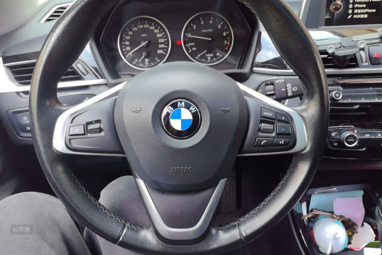 BMW X1 2017 car image #12