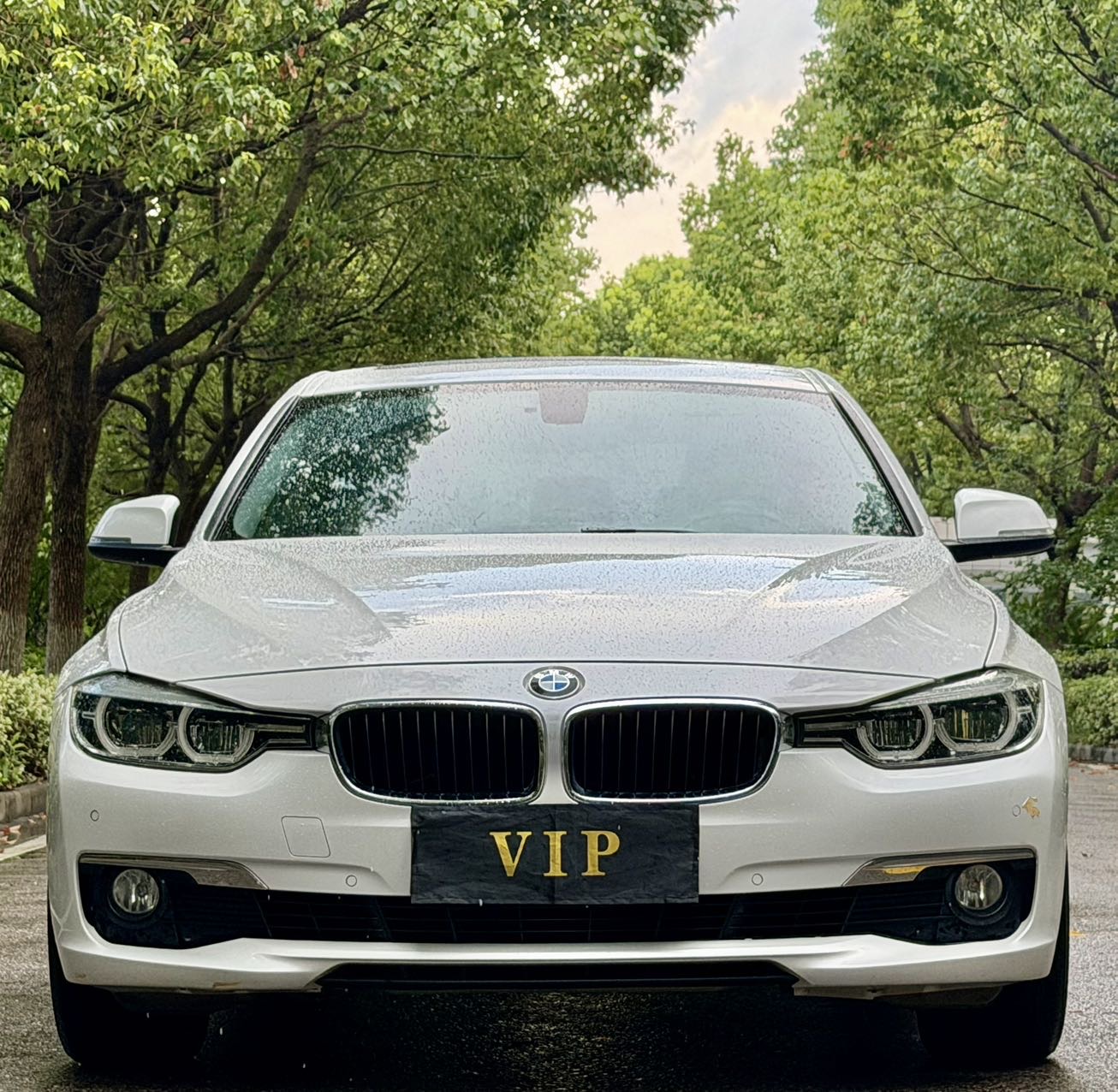 BMW 3 Series 2016 #4 BMW 3 Series 2016 car image #4