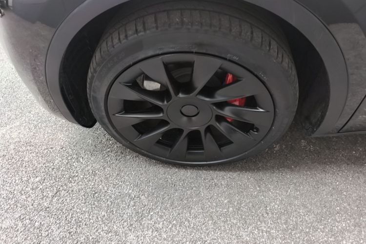 Tesla Model Y 2023 #9 Tesla Model Y 2023 car image #9