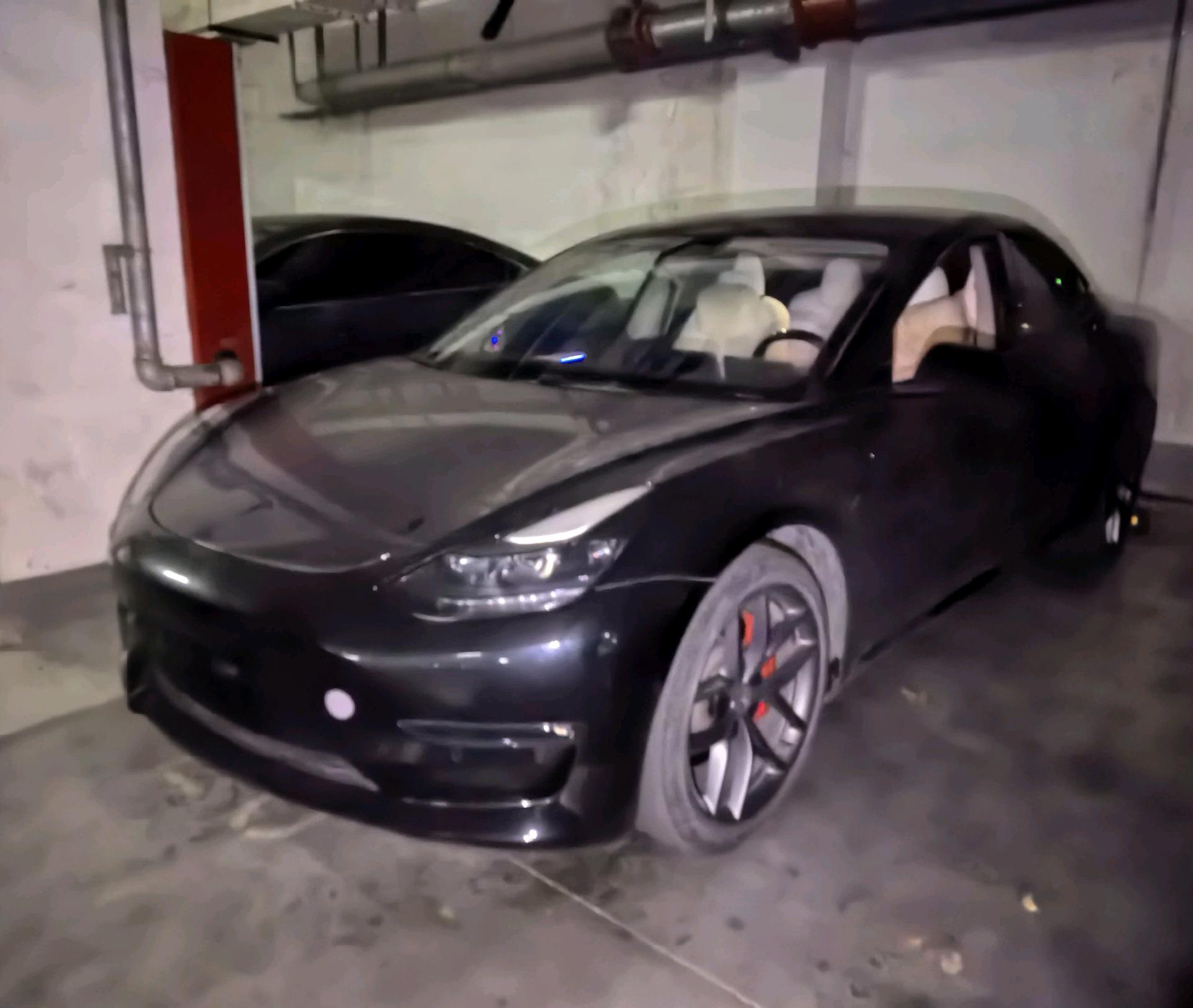 Tesla Model 3 2022 car image 