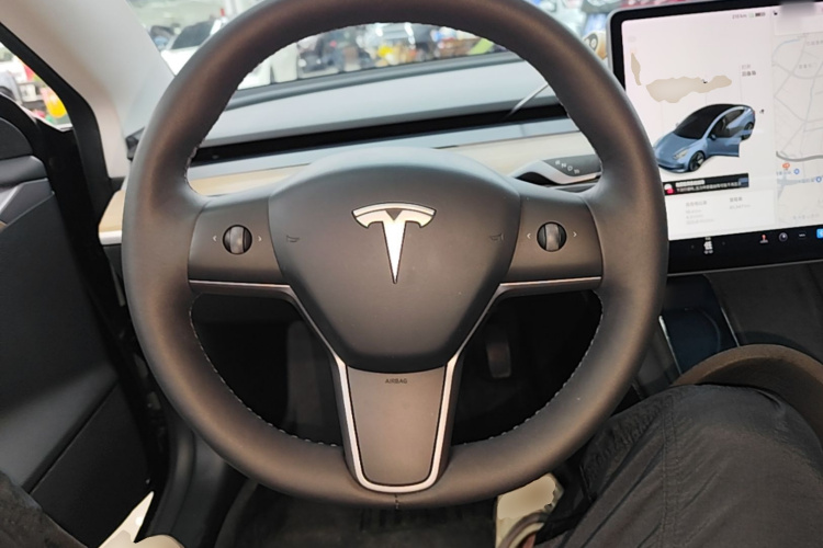 Tesla Model 3 2021 immagine di auto #19