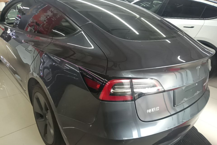 Tesla Model 3 2021 #5 Tesla Model 3 2021 car image #5