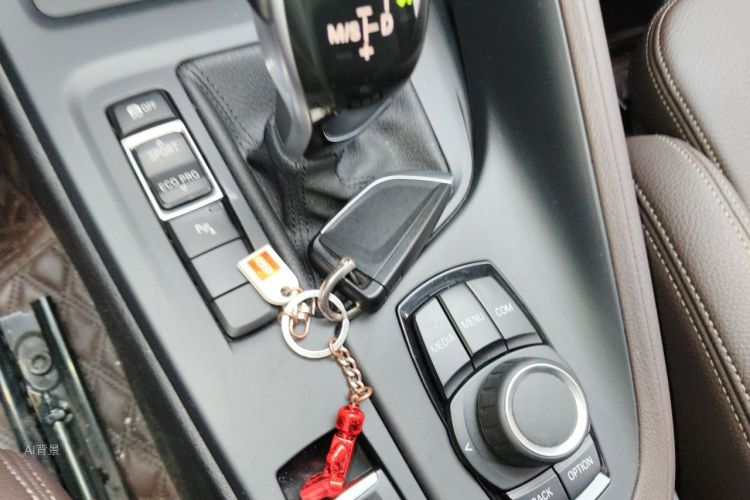 BMW X1 2020 car image #10