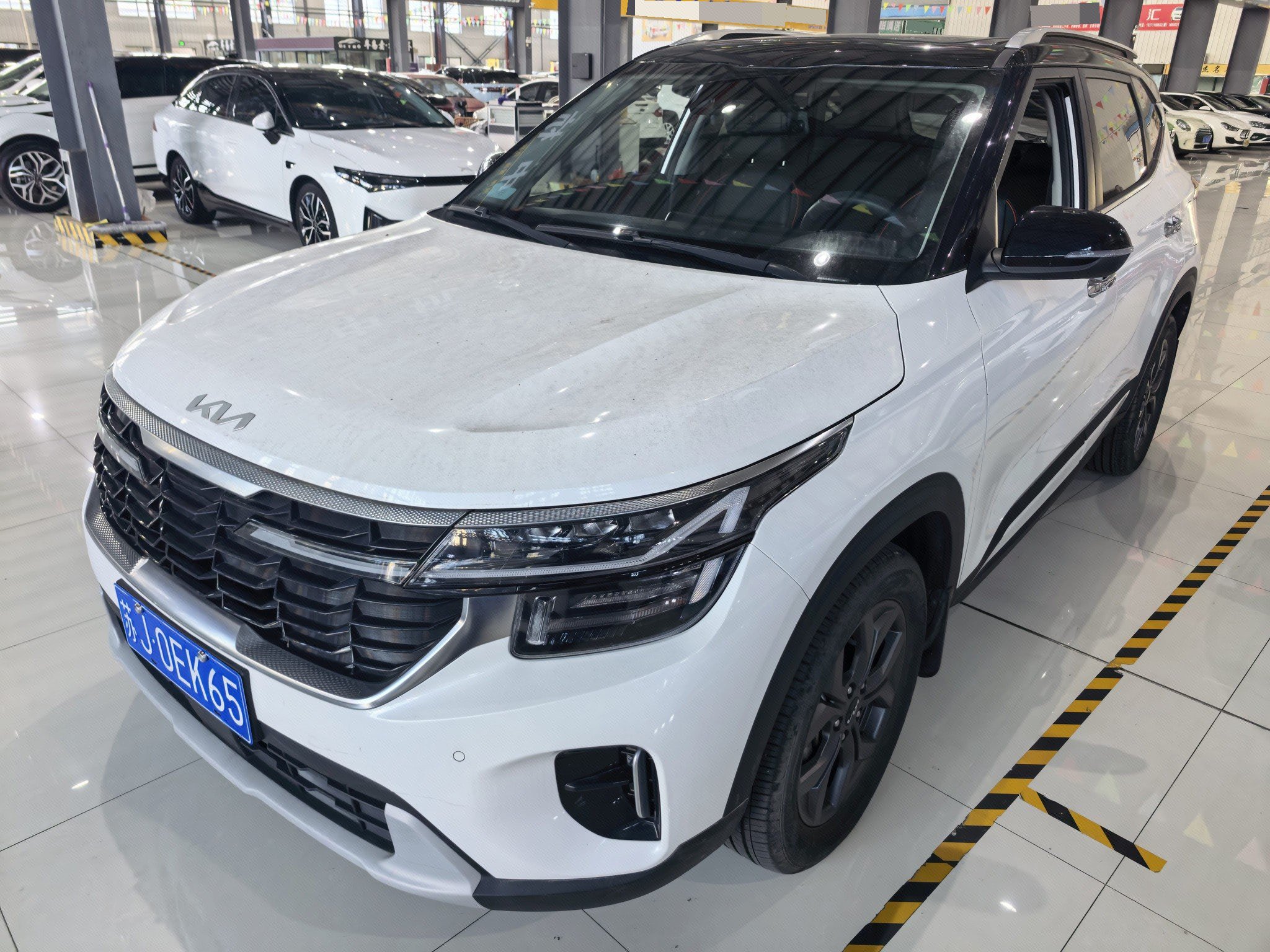 Kia Seltos 2024 immagine di auto 