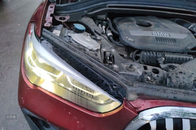 BMW X1 2020 car image #8