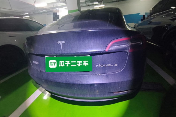 Tesla Model 3 2021 car image #6