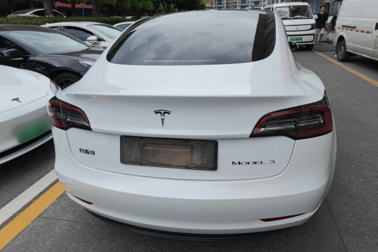 Tesla Model 3 2021 car image #6