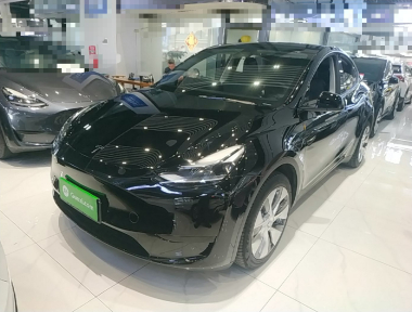 Tesla Model Y 2023 car image 