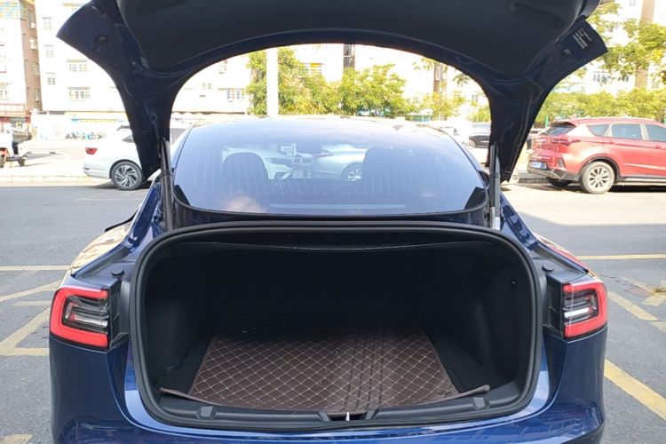 Tesla Model 3 2020 #19 Tesla Model 3 2020 car image #19