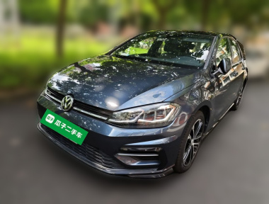 Volkswagen Golf 2019 Volkswagen Golf 2019 car image