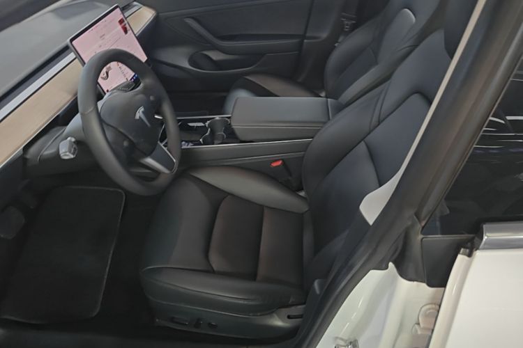 Tesla Model 3 2020 car image #19