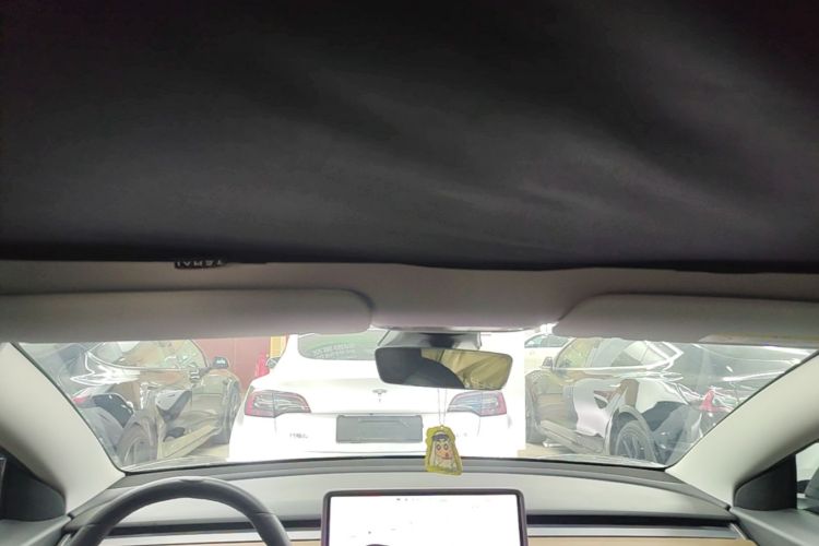 Tesla Model 3 2020 #18 Tesla Model 3 2020 immagine di auto #18