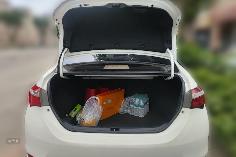 Toyota Corolla 2016 car image #21