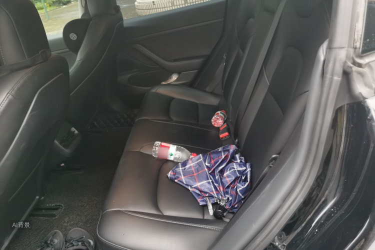 Tesla Model 3 2020 car image #19