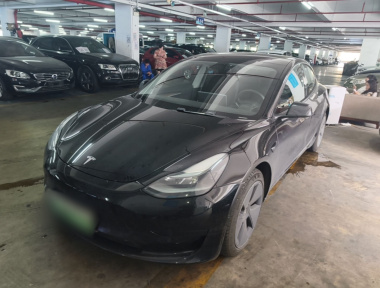 Tesla Model 3 2021 Tesla Model 3 2021 car image