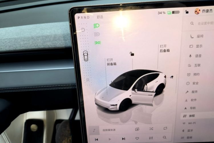 Tesla Model Y 2025 car image #14