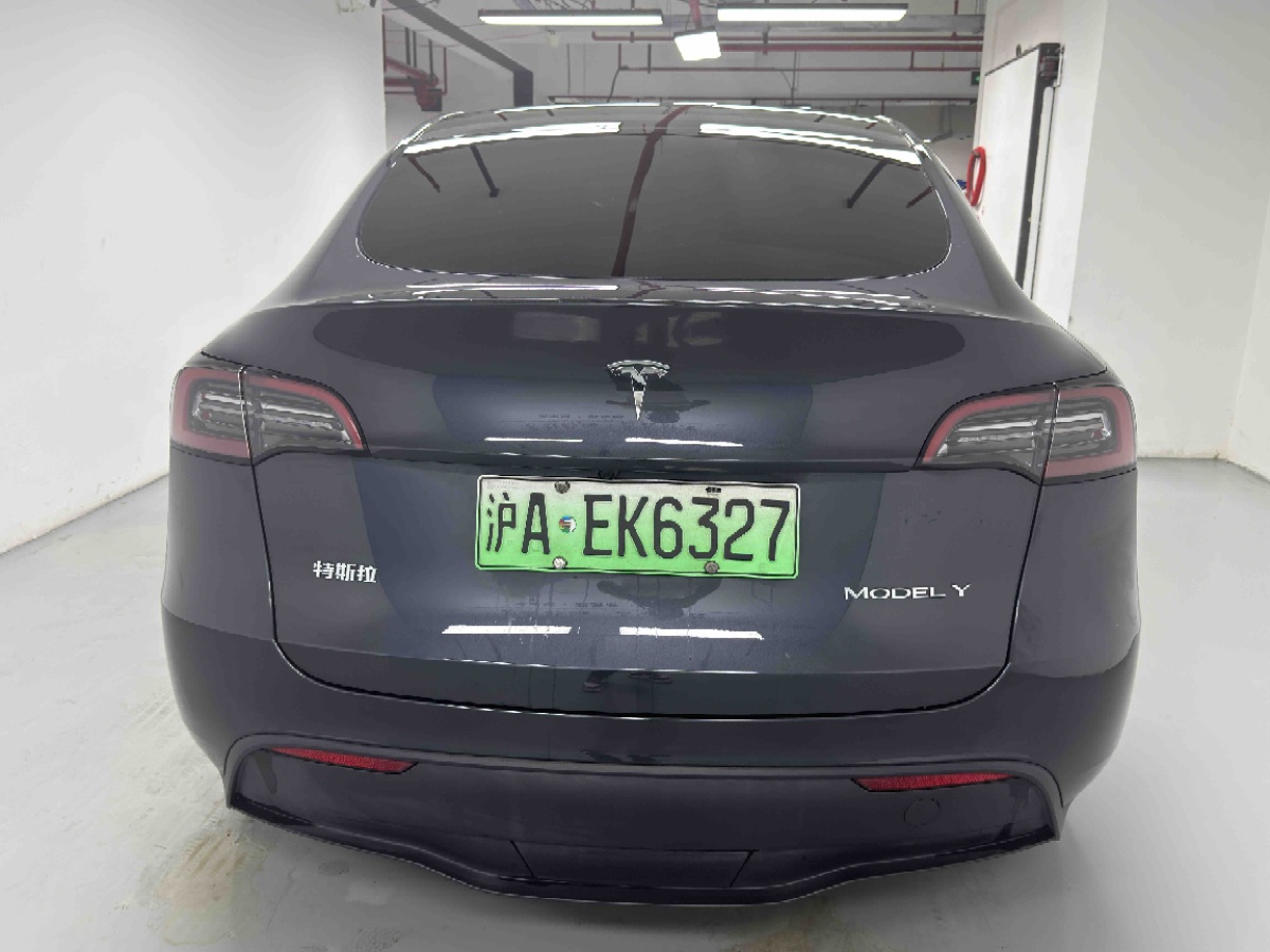 Tesla Model Y 2024 car image #6