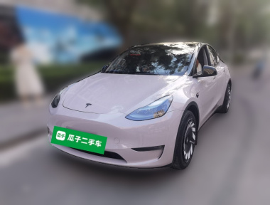Tesla Model Y 2022 Tesla Model Y 2022 car image