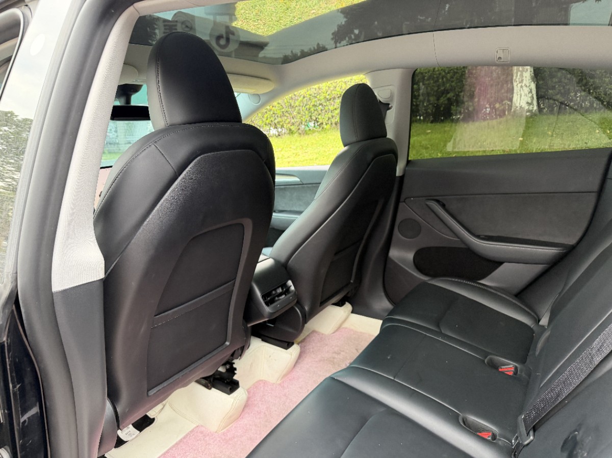 Tesla Model Y 2023 car image #10