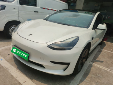 Tesla Model 3 2021 Tesla Model 3 2021 immagine di auto